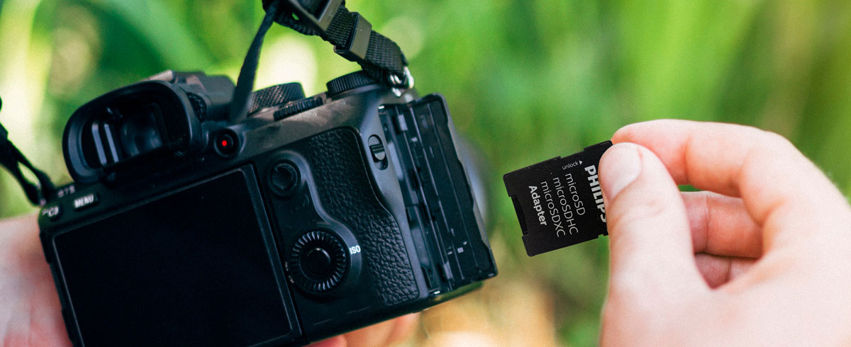 Una persona sostiene una cámara en una mano y una tarjeta de memoria en la otra, lista para captar momentos