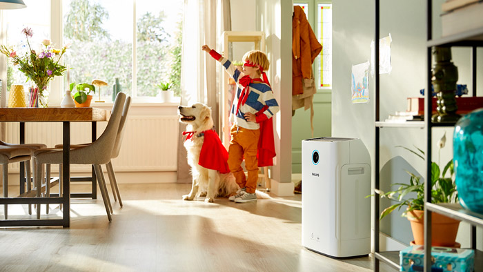 Causas y s&iacute;ntomas del aire seco en el hogar