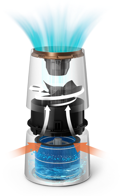 Comprueba c&oacute;mo funcionan