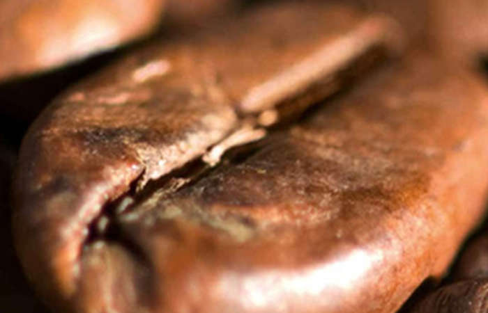 Grano de caf&eacute;