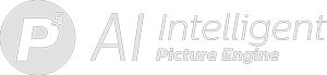 Logotipo de Picture Engine