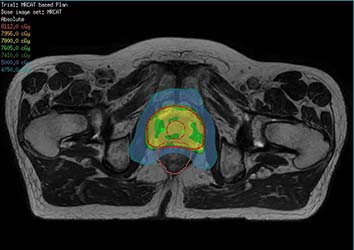 banner catalog image